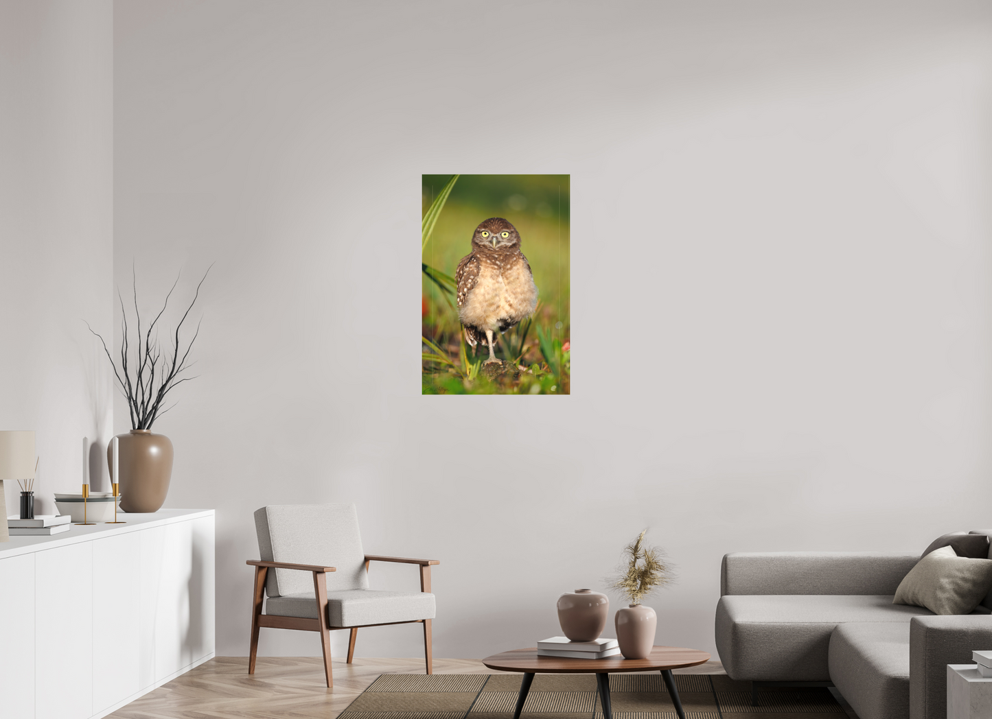 24 x 36″, Canvas "Little Lookout" - Burrowing owlet