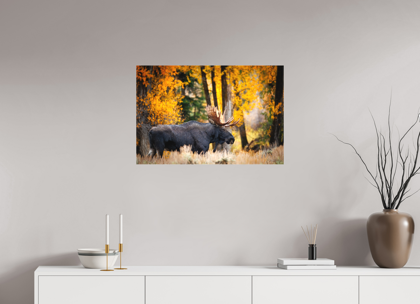 30 x 20″, Canvas "Majesty in the rain" - Bull moose