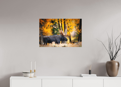 30 x 20″, Canvas "Majesty in the rain" - Bull moose