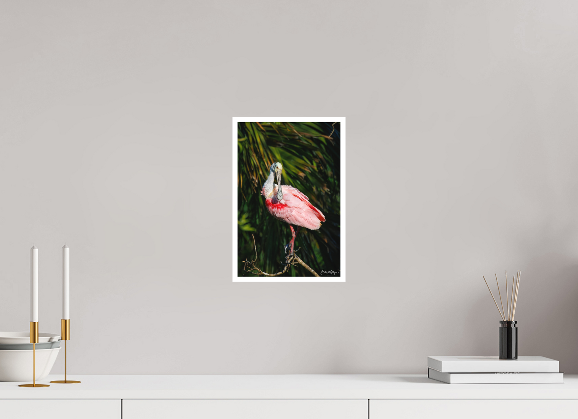 8 x 12″, Fine art print "Blush of the Wetlands" - Roseate Spoonbill