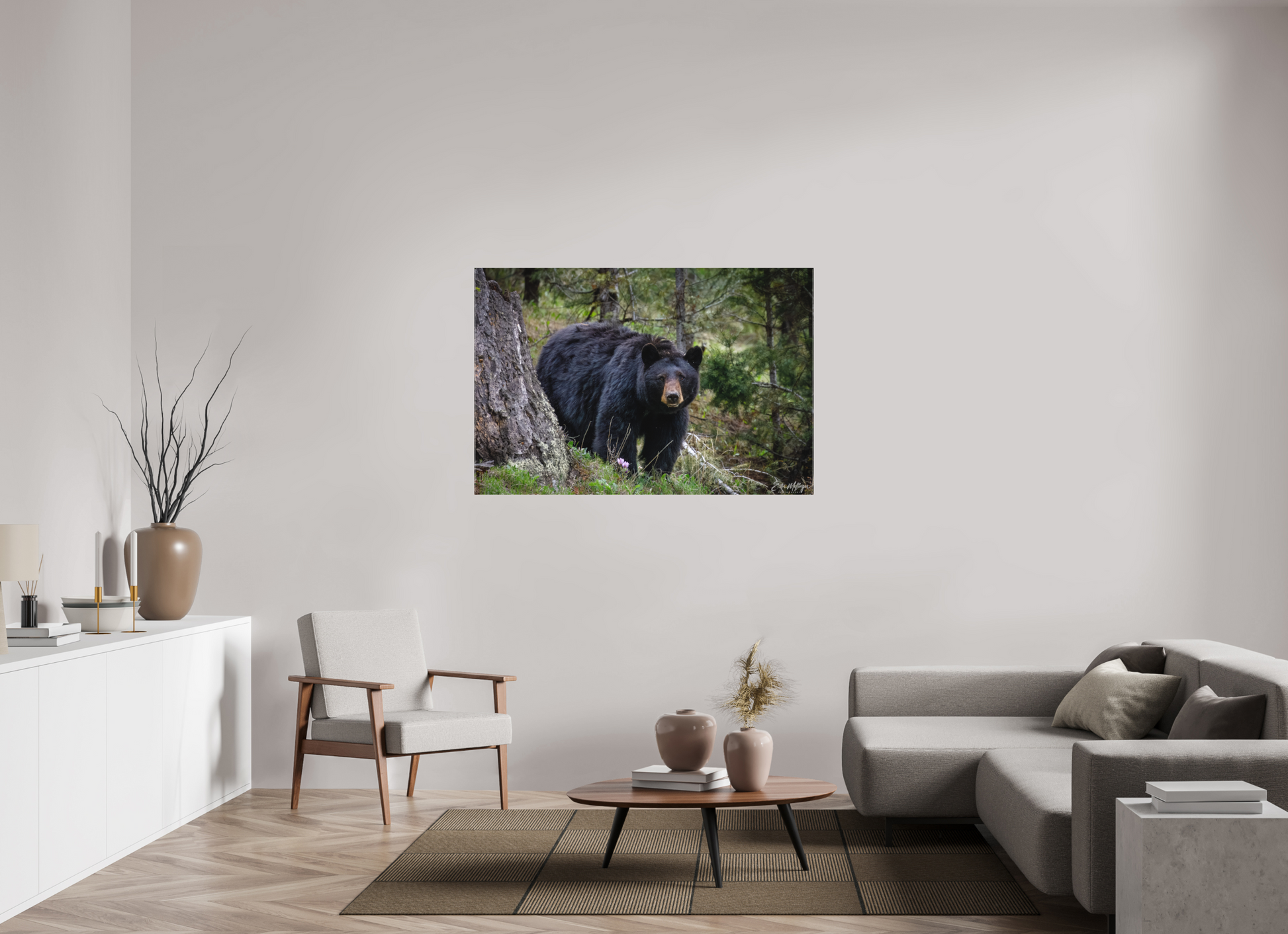 54 x 36″, Canvas "Silent Gaze" - Black Bear