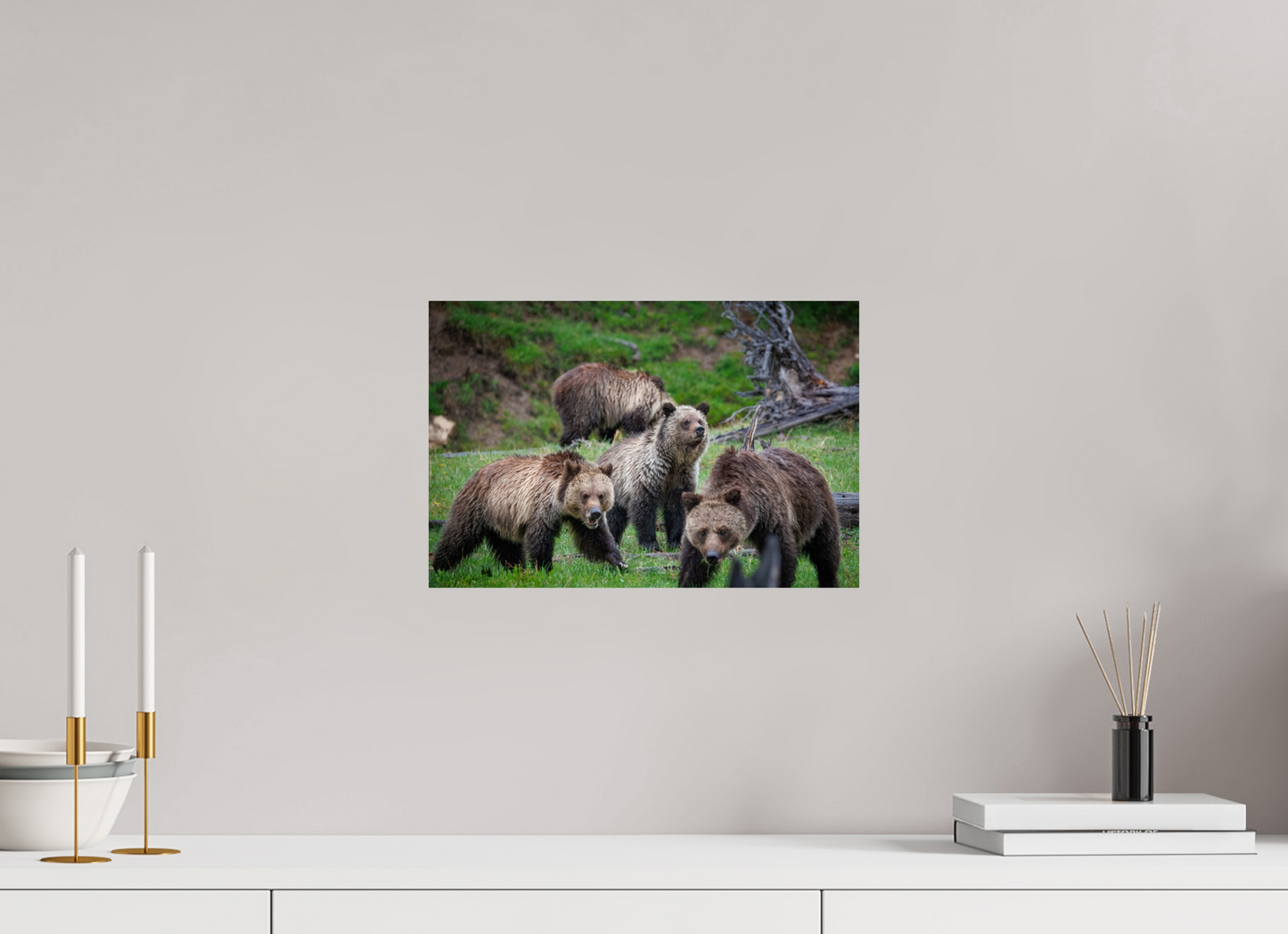 Grizzly family of four