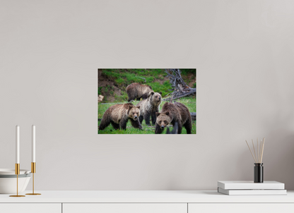 Grizzly family of four