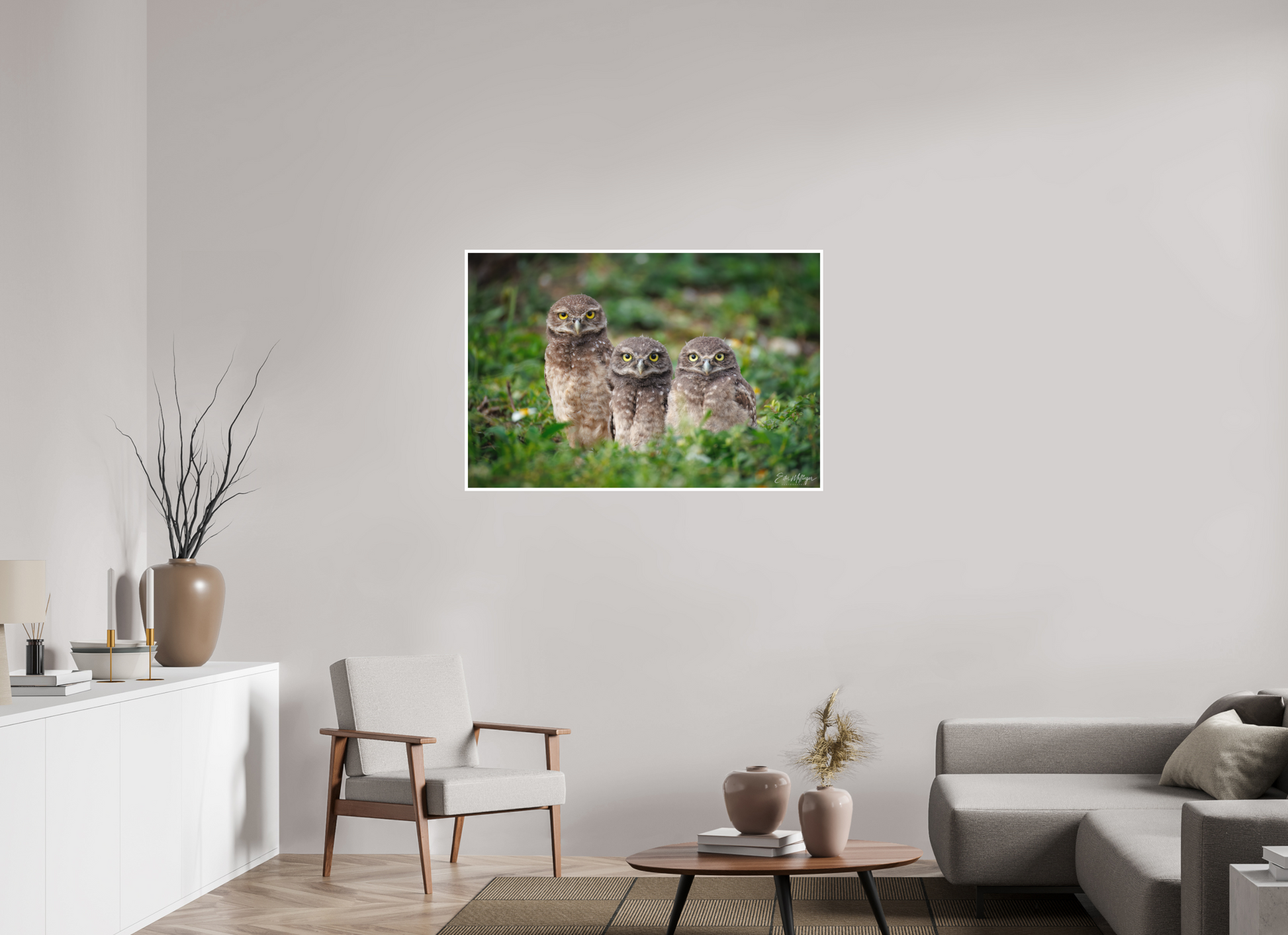 45 x 30″, Fine art print Three Little Burrowing Owls - Burrowing Owls