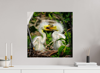 20 x 20″, Acrylic "Fluffy Dinosaurs" - Baby Great Egrets