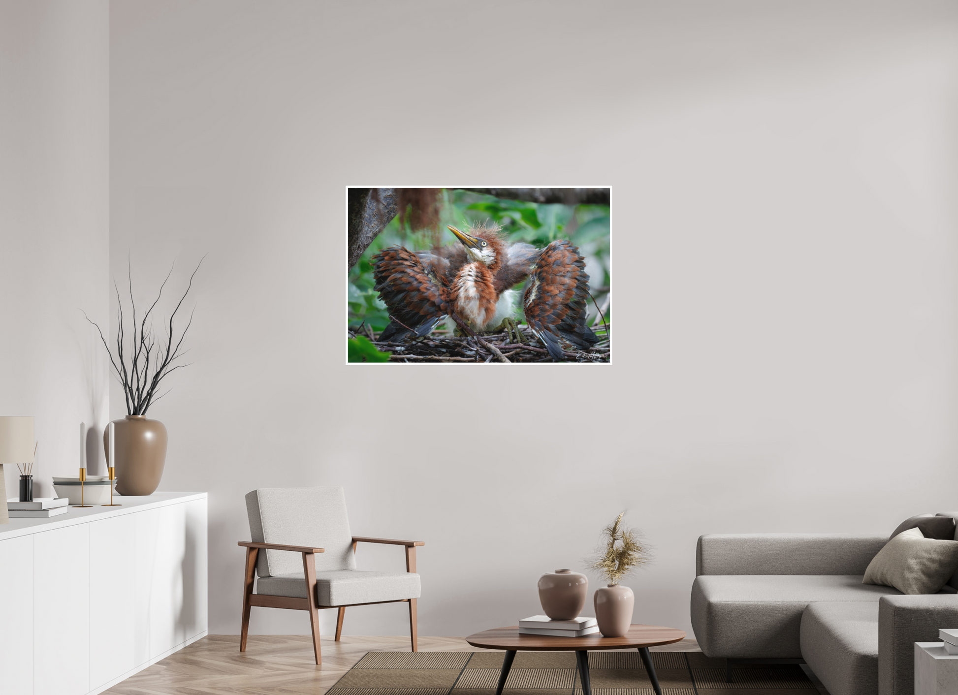 45 x 30″, Fine art print "Finding My Wings" - Tricolored Heron