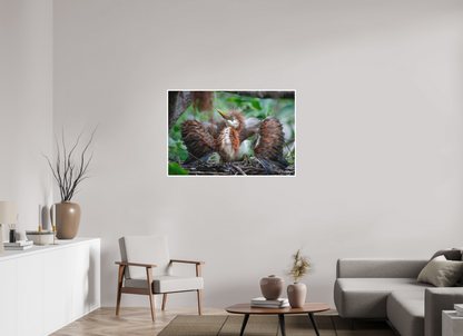 45 x 30″, Fine art print "Finding My Wings" - Tricolored Heron