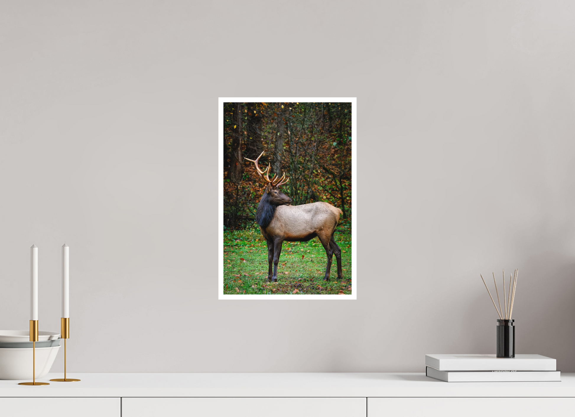 10 x 15″, Fine art print "Guardian of the Meadow" - Elk