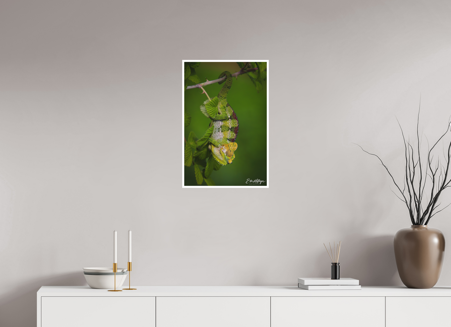 16 x 24″, Fine art print "Emerald Acrobat" - Chameleon of the Rainforest