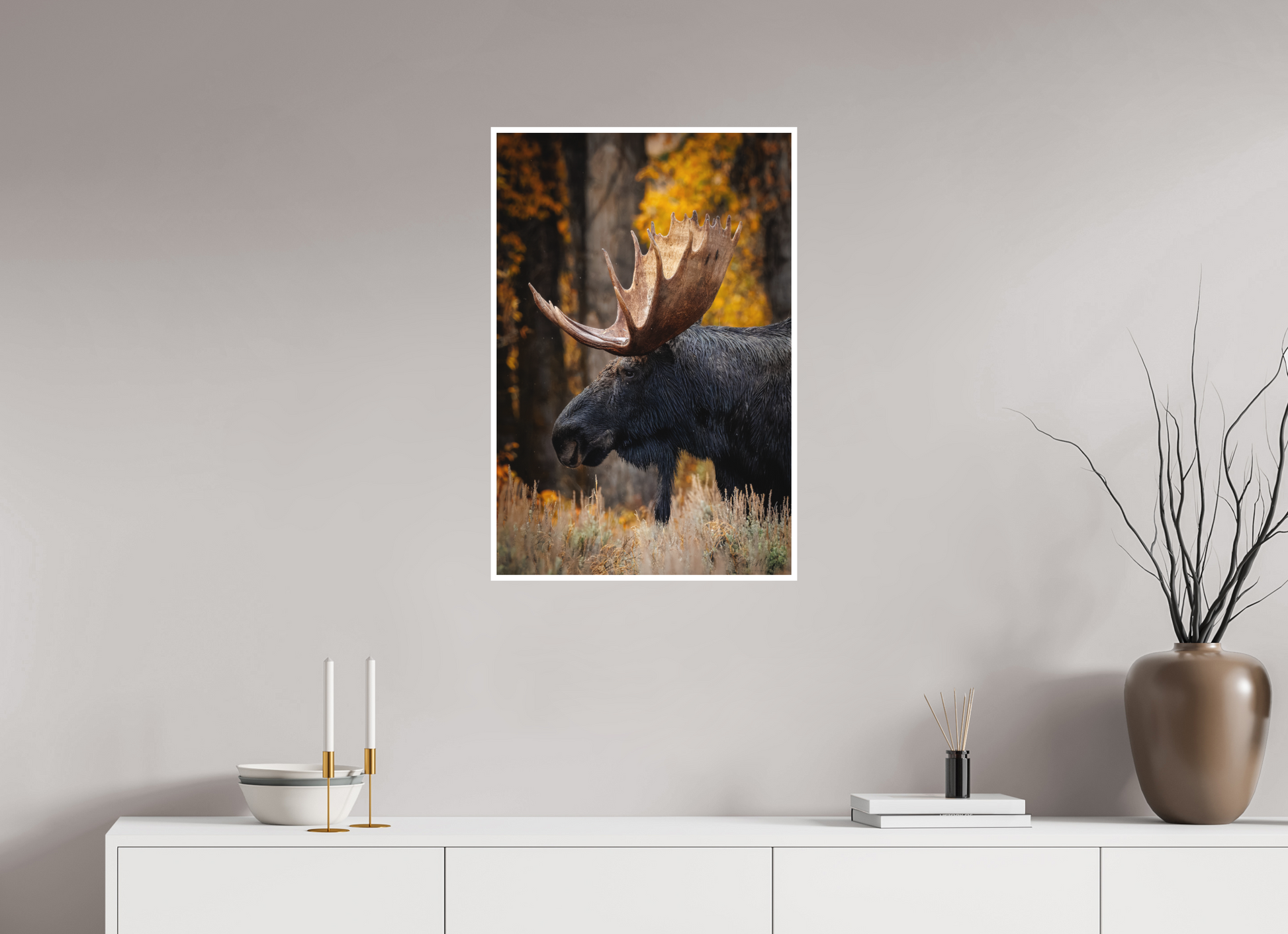 20 x 30″, Fine art print "The Wild One" - Bull moose