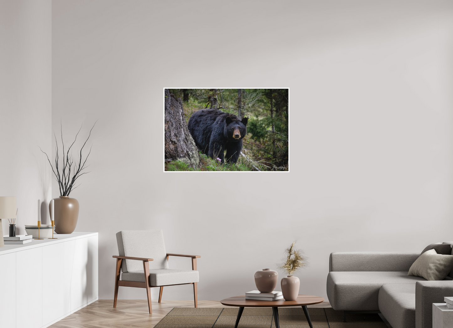 45 x 30″, Fine art print "Silent Gaze" - Black Bear