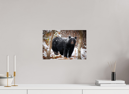 15 x 10″, Acrylic "Winter Watcher" - Black Bear
