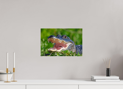 15 x 10″, Acrylic "Wide Open" - American Alligator