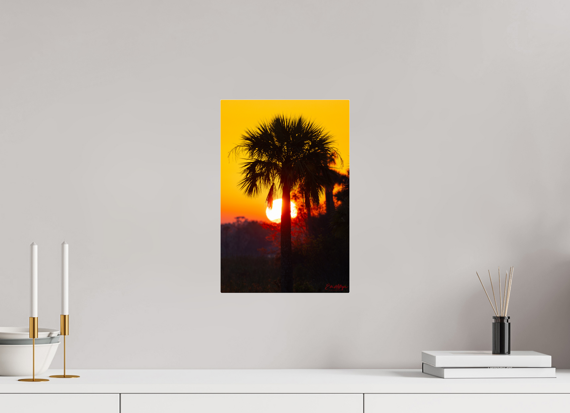 10 x 15″, Acrylic "Florida Awakens"