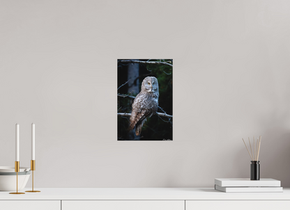 8 x 12″, Canvas "Keeper of the Dawn" - Great Grey Owl