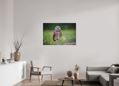 45 x 30″, Canvas "The Watcher" - Burrowing Owl
