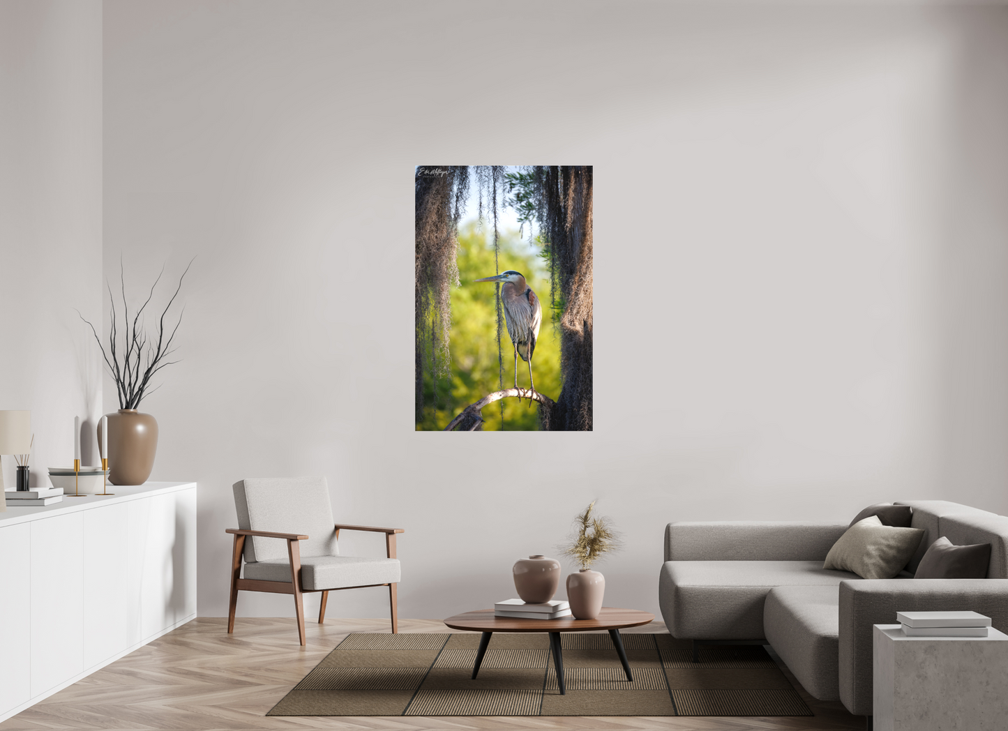 36 x 54″, Canvas "Framed by the Moss" - Great Blue Heron