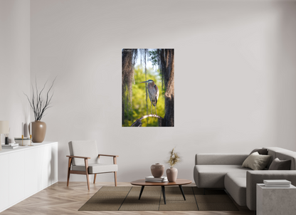 36 x 54″, Canvas "Framed by the Moss" - Great Blue Heron