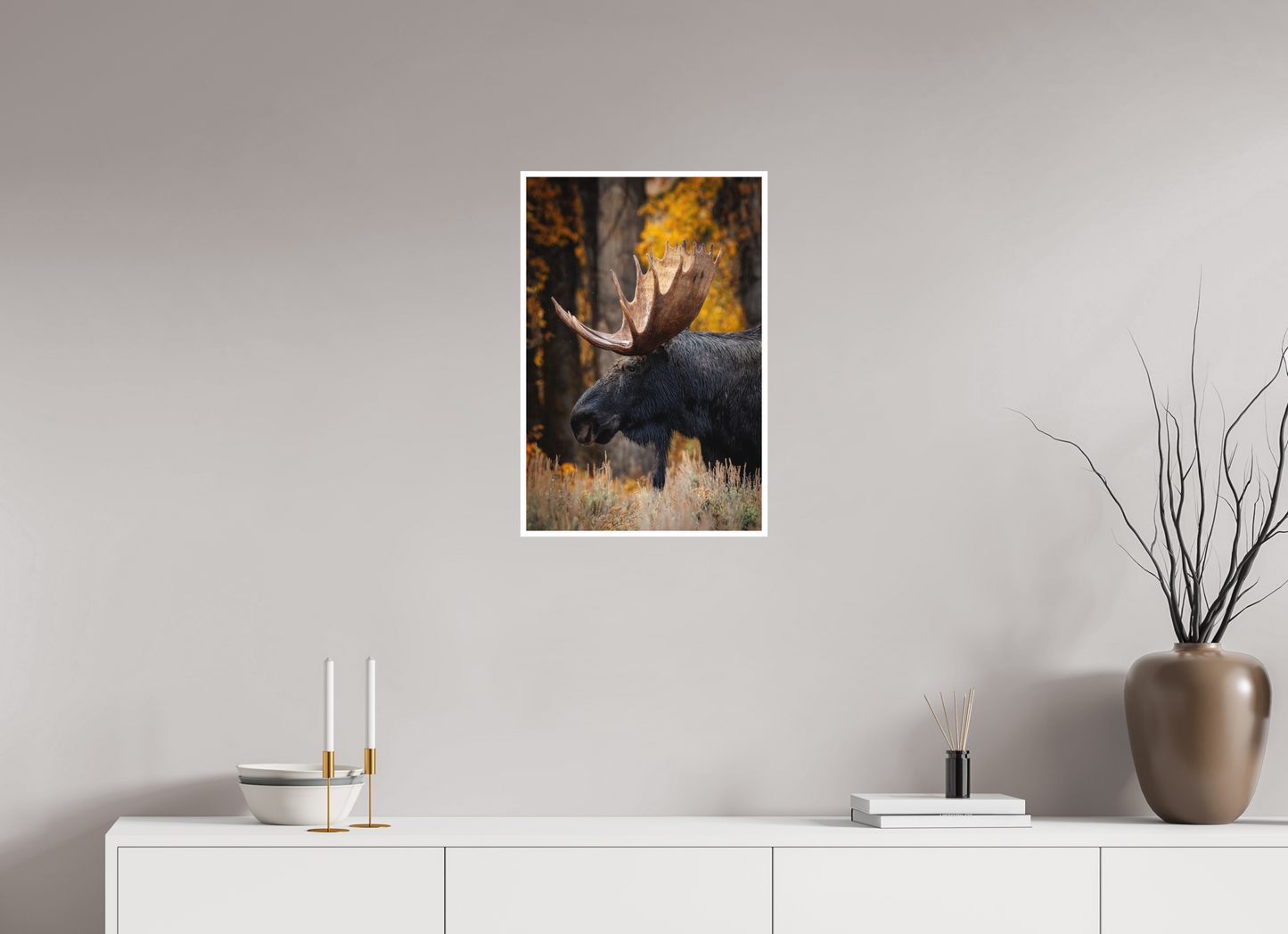 16 x 24″, Fine art print "The Wild One" - Bull moose