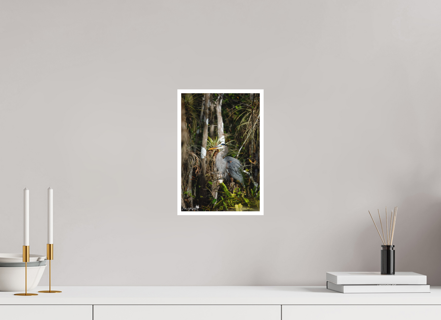 Great blue heron in the swamp