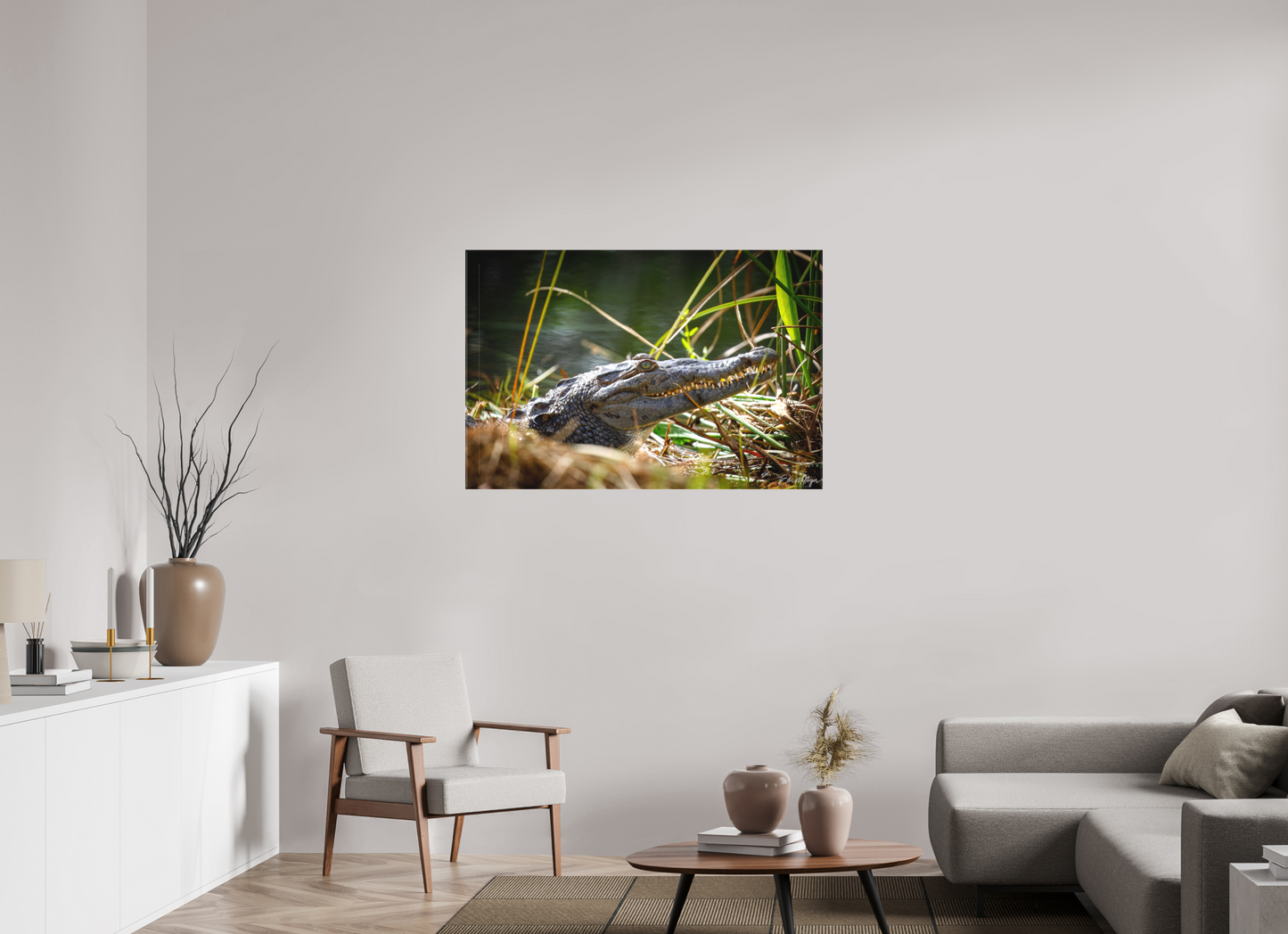 45 x 30″, Canvas "Teeth of Time" - American Crocodile