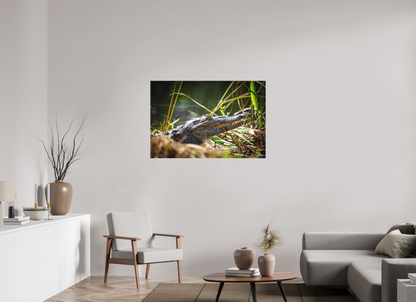 45 x 30″, Canvas "Teeth of Time" - American Crocodile