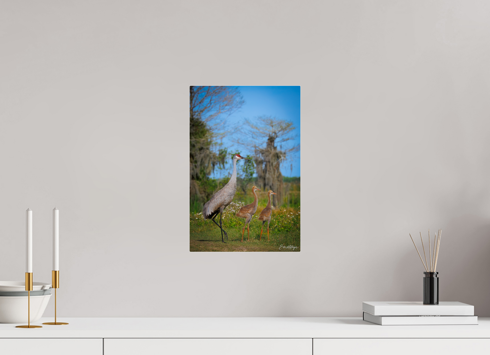 10 x 15″, Acrylic "Wetland Wanderers" - Sandhill Cranes