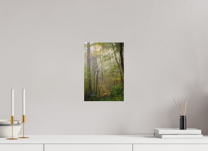 8 x 12″, Canvas "The Heart of the Forest"