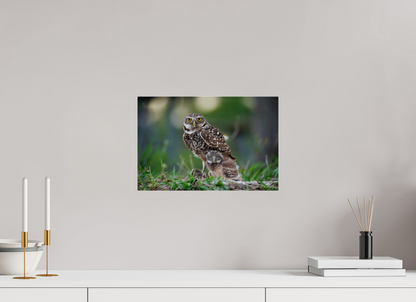 15 x 10″, Acrylic "Burrowlight" - Burrowing Owls