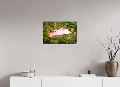 24 x 16″, Canvas "Pink Passage" - Roseate Spoonbill
