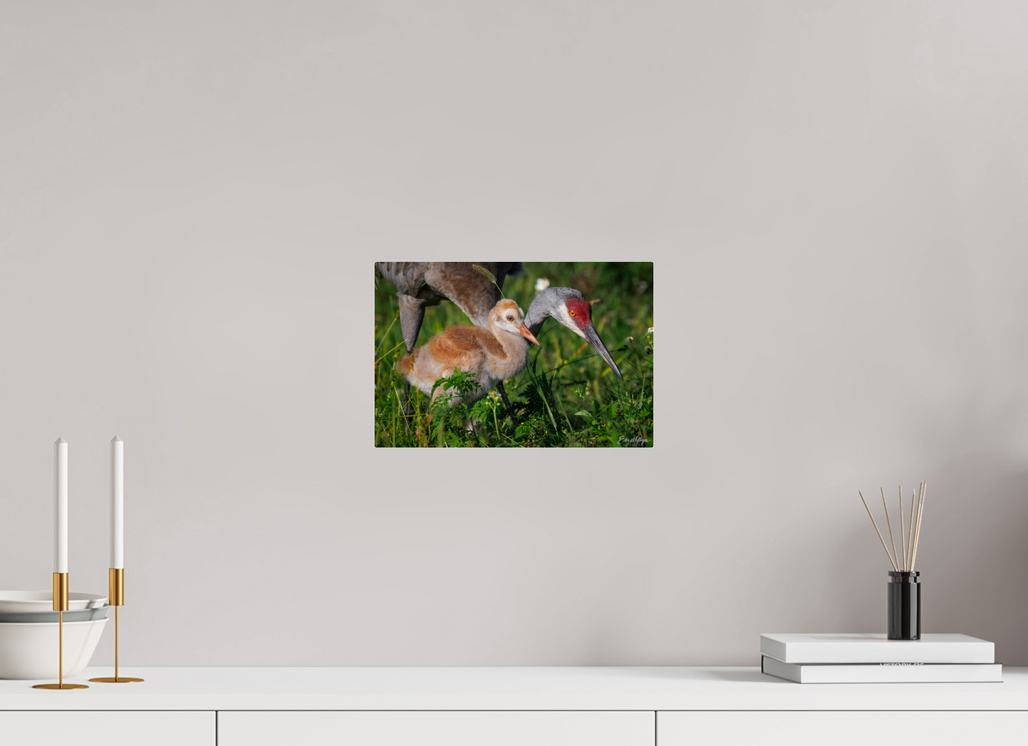 12 x 8″, Acrylic "Guiding the Next Generation" - Sandhill Cranes