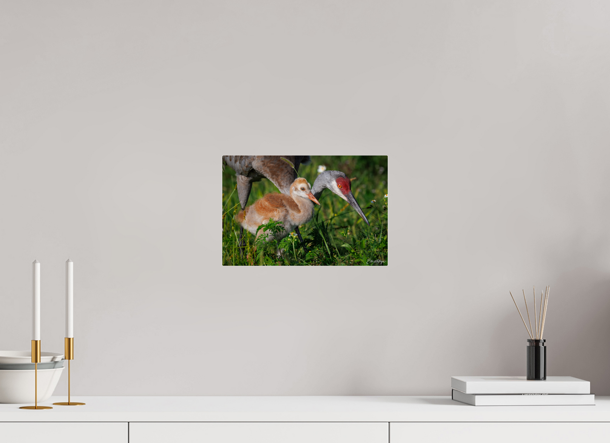12 x 8″, Acrylic "Guiding the Next Generation" - Sandhill Cranes