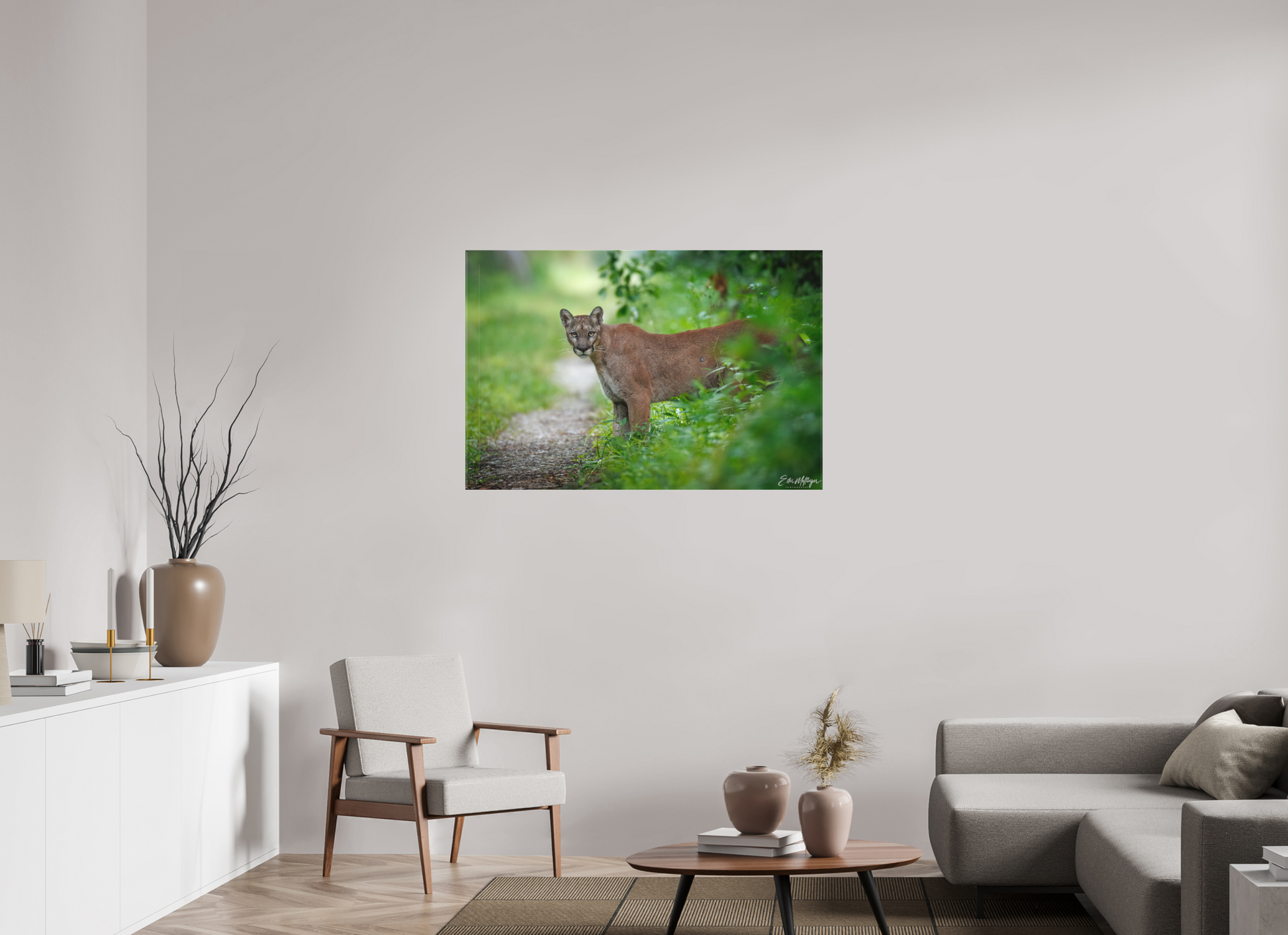 45 x 30″, Canvas Ghost of the Green Forest - Florida Panther