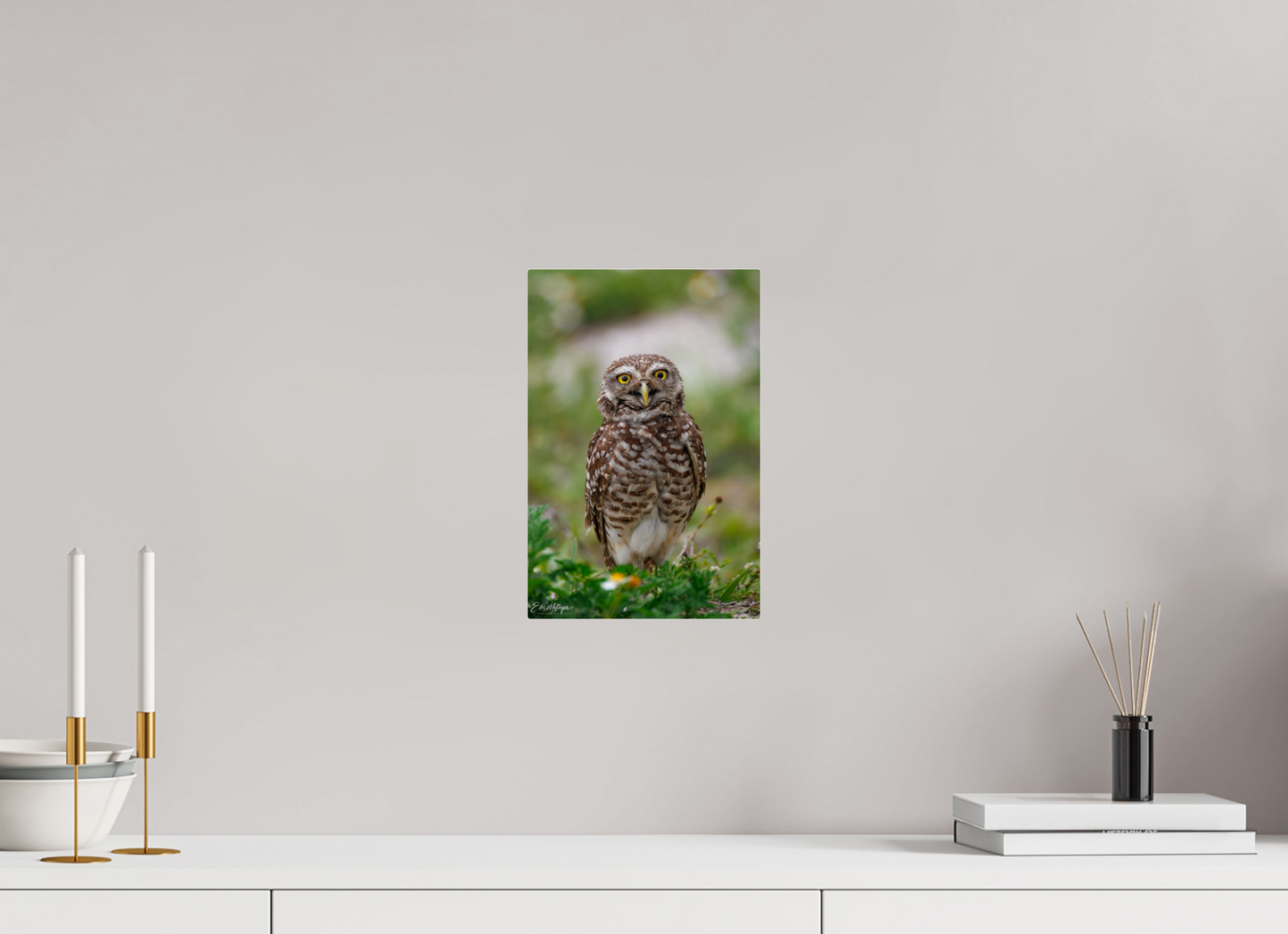 8 x 12″, Acrylic "Wide-Eyed Wonder" - Burrowing Owl