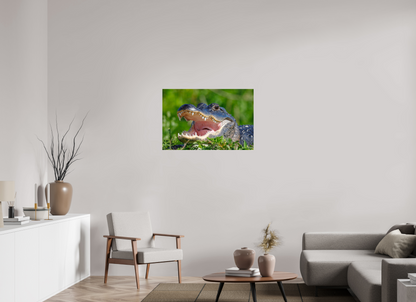 36 x 24″, Acrylic "Wide Open" - American Alligator