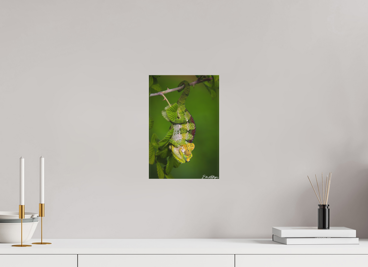 8 x 12″, Canvas "Emerald Acrobat" - Chameleon of the Rainforest