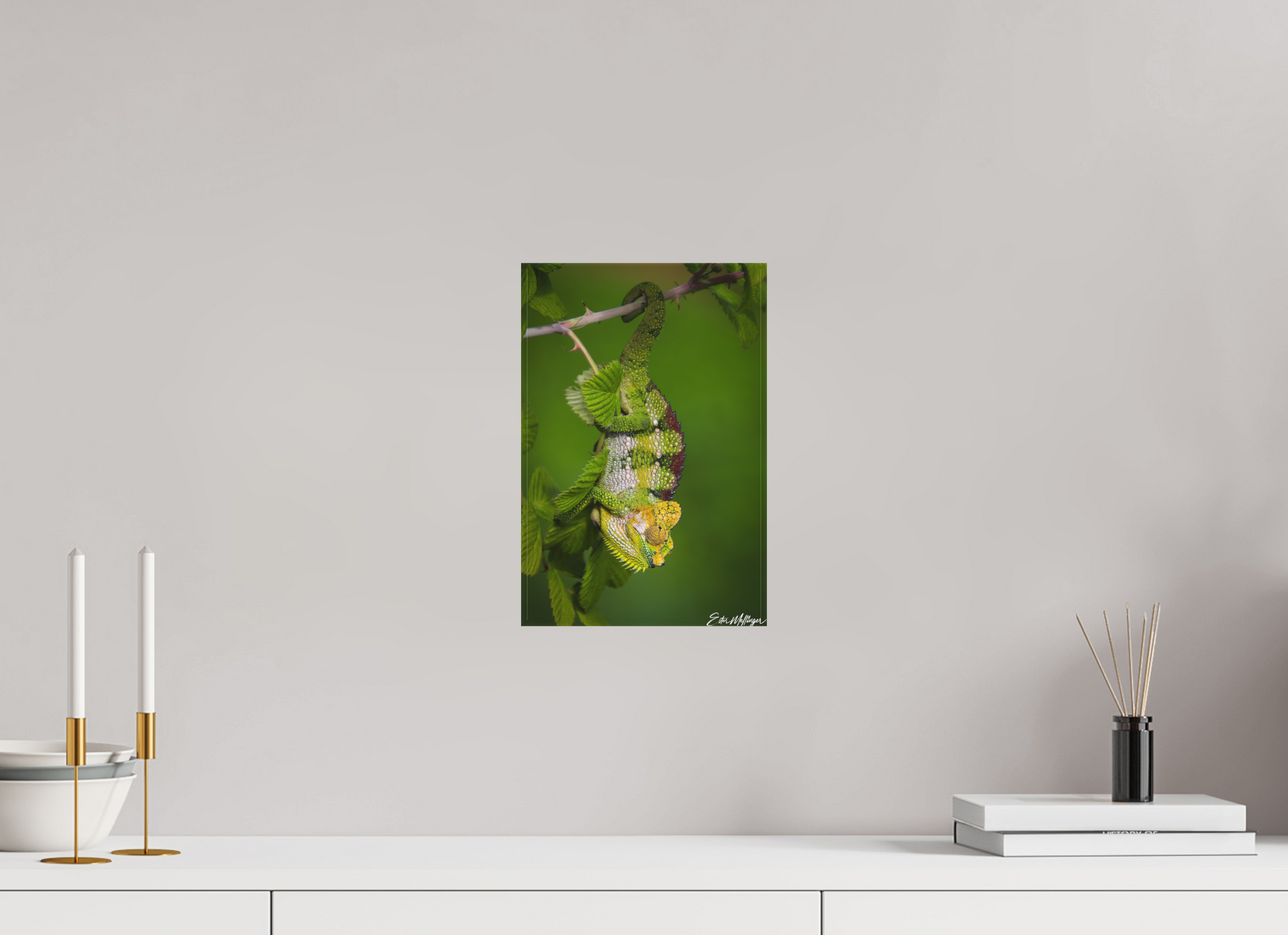 8 x 12″, Canvas "Emerald Acrobat" - Chameleon of the Rainforest