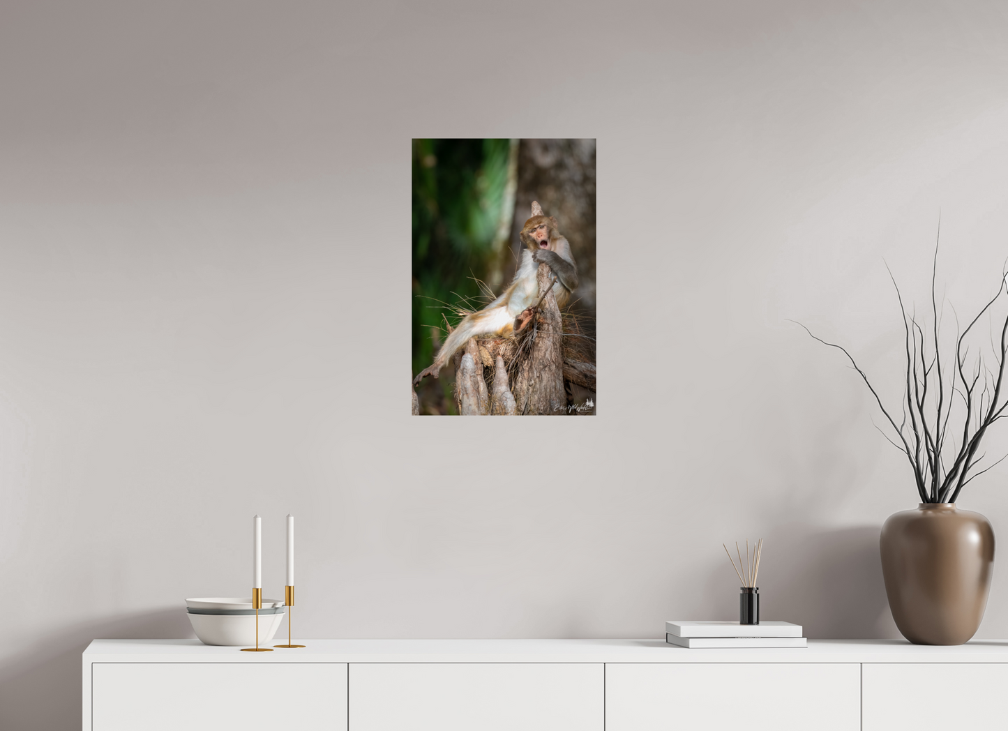 Singing monkey