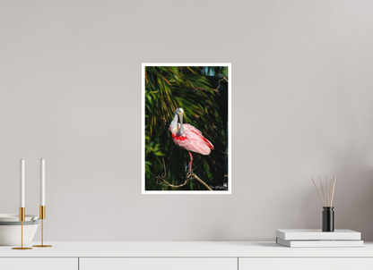 Preening spoonbill