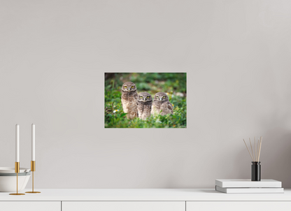12 x 8″, Canvas Three Little Burrowing Owls - Burrowing Owls