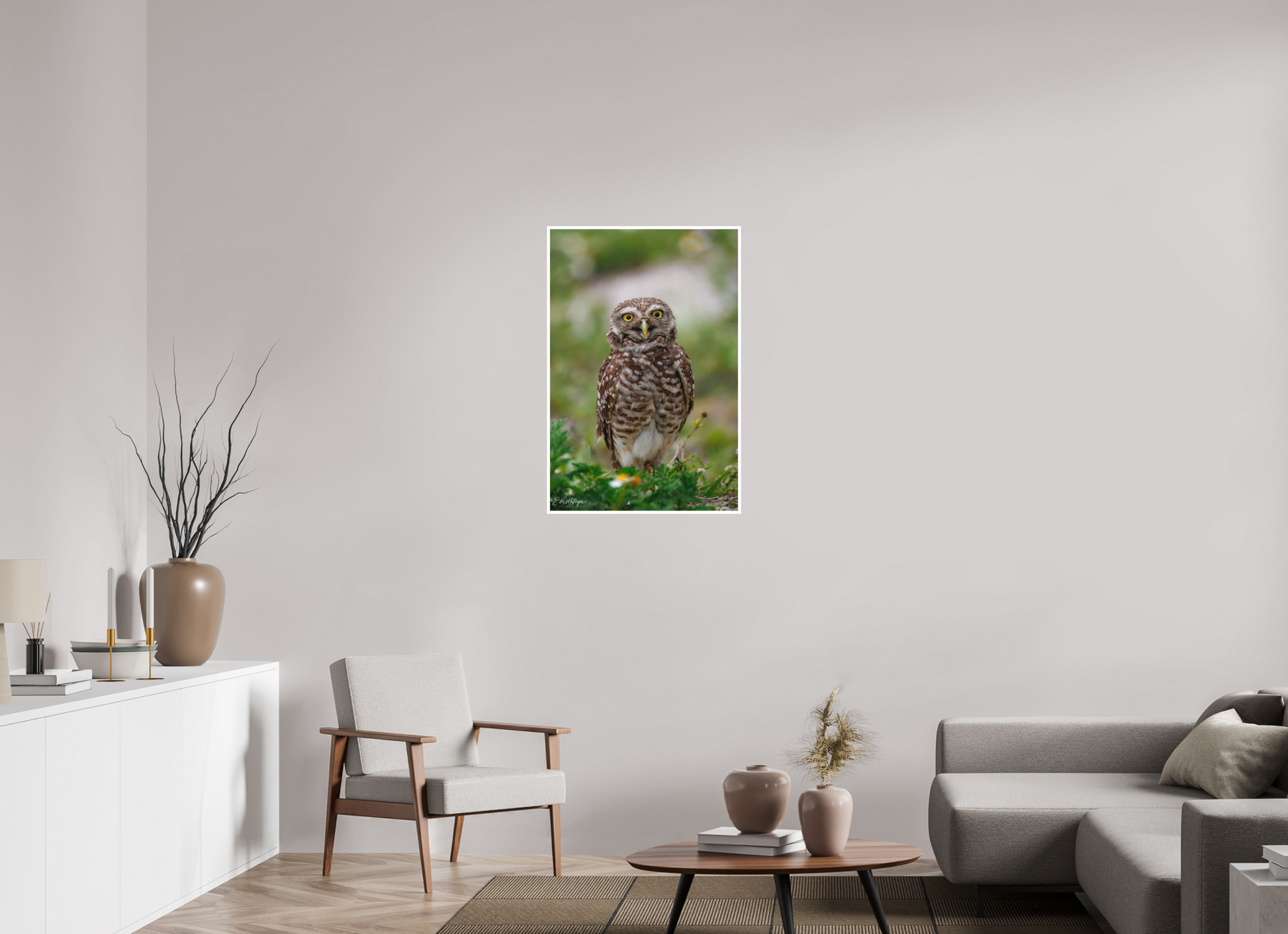 24 x 36″, Fine art print "Wide-Eyed Wonder" - Burrowing Owl