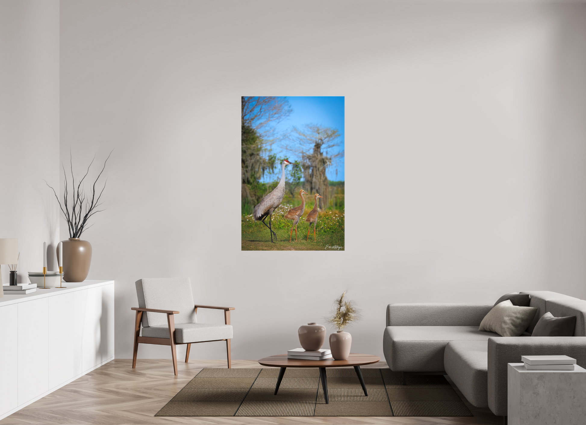 36 x 54″, Canvas "Wetland Wanderers" - Sandhill Cranes