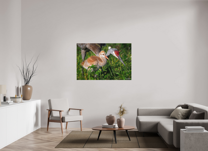 54 x 36″, Canvas "Guiding the Next Generation" - Sandhill Cranes