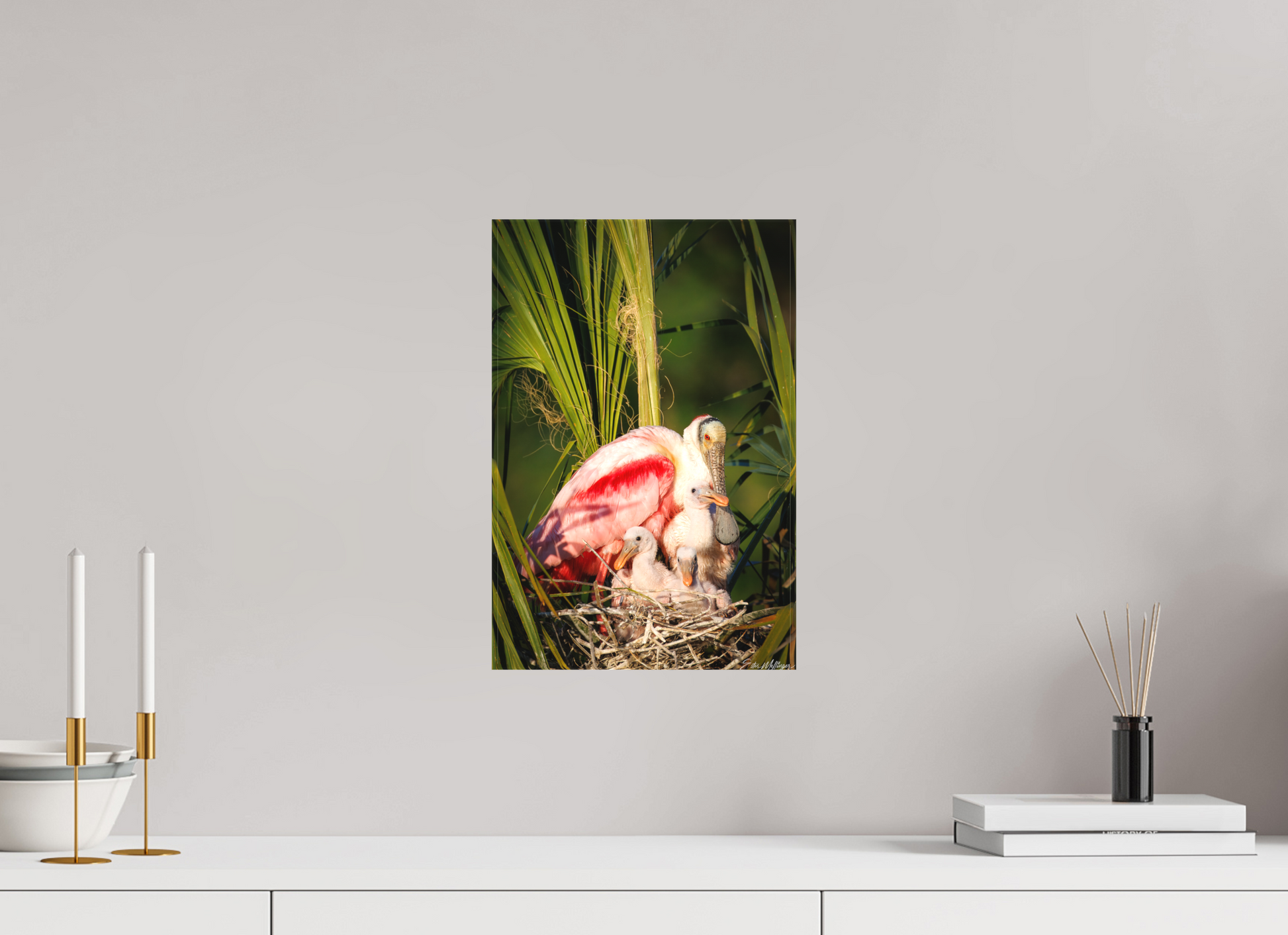10 x 15″, Canvas "Golden Hour Nest" - Spoonbills