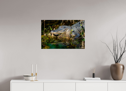 30 x 20″, Acrylic "Shadow of the Cypress" - American Alligator