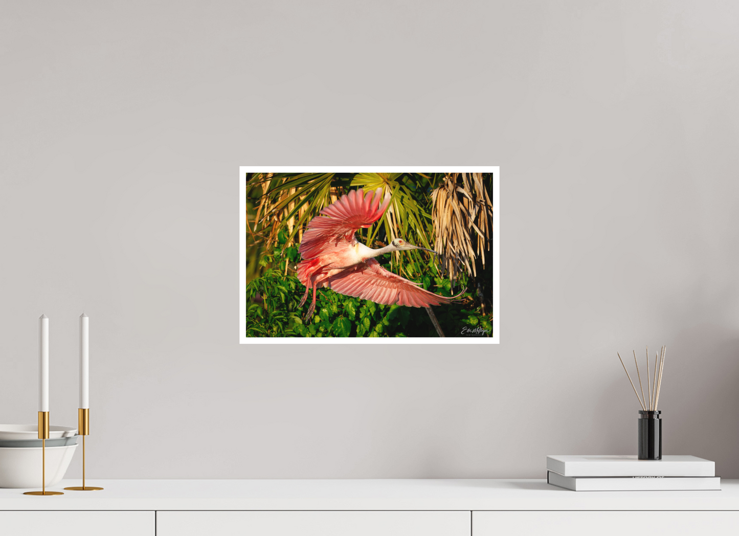 15 x 10″, Fine art print "Brushstrokes of Pink" - Roseate Spoonbill
