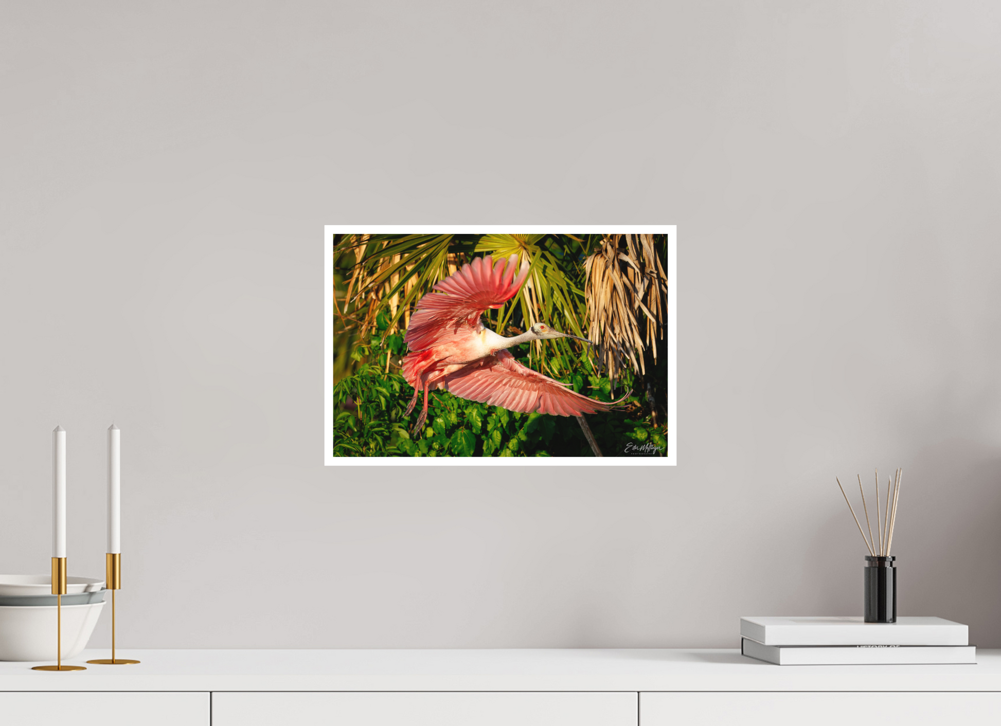 15 x 10″, Fine art print "Brushstrokes of Pink" - Roseate Spoonbill