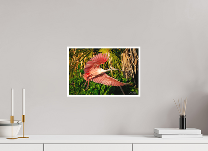 15 x 10″, Fine art print "Brushstrokes of Pink" - Roseate Spoonbill