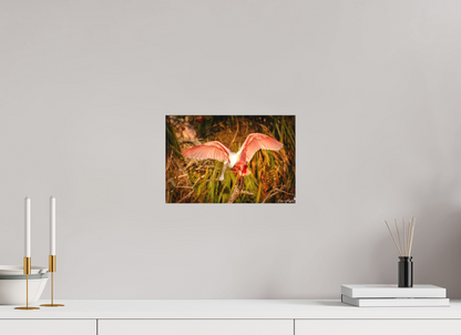 Sunset spoonbill