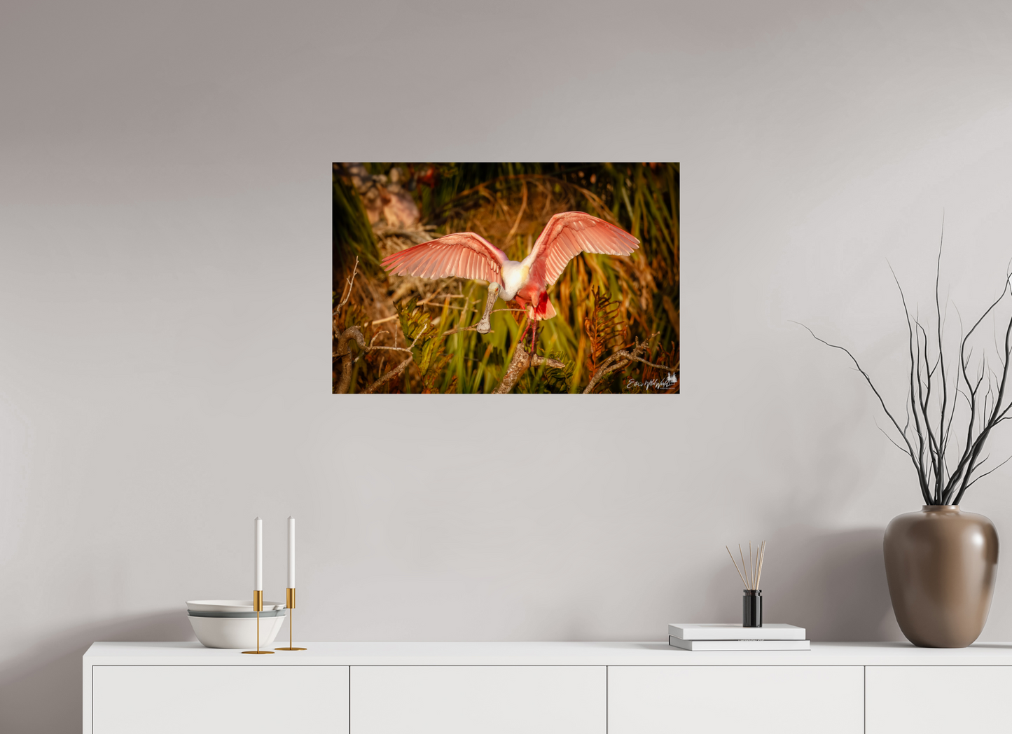 Sunset spoonbill